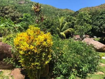 Mirella Villa Holiday Apartment - 21