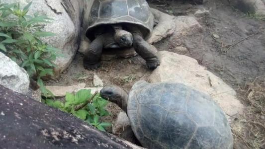 Mirella Villa Holiday Apartment - 54