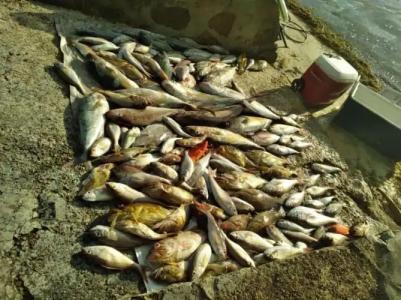 Mirella Villa Holiday Apartment - 46