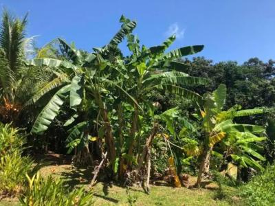 Mirella Villa Holiday Apartment - 17