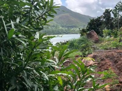 Mirella Villa Holiday Apartment - 59