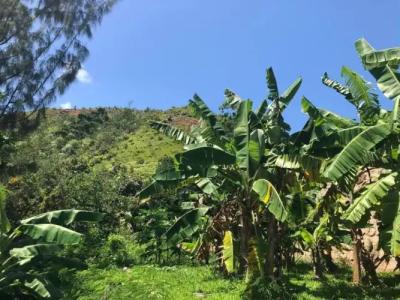 Mirella Villa Holiday Apartment - 19