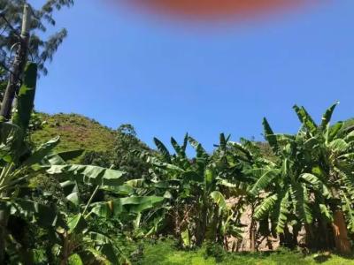 Mirella Villa Holiday Apartment - 20