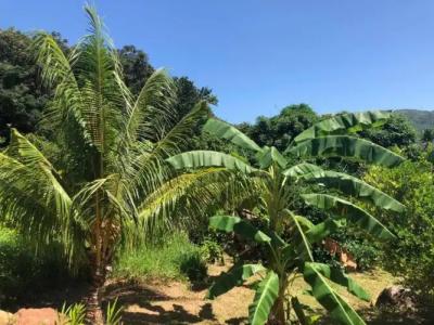 Mirella Villa Holiday Apartment - 24