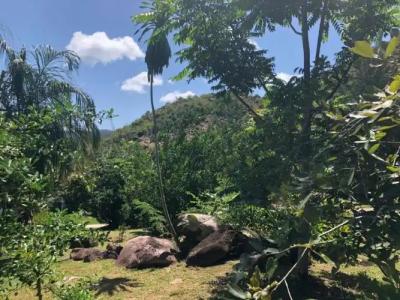 Mirella Villa Holiday Apartment - 26