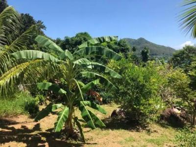 Mirella Villa Holiday Apartment - 23