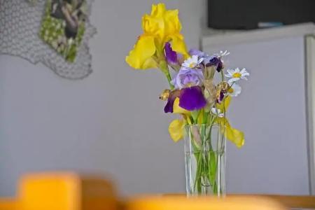 Guest House Matana Pomena - 154