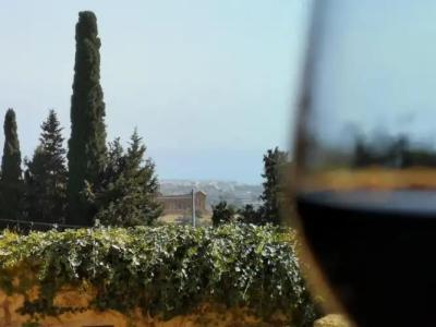 Villa la Lumia B&B Suites & Apartments - 56