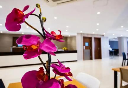 Blubay Apartments by ST - 1