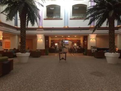 Tulip Inn Fz Llc - 12