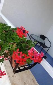 Bed And Breakfast Miramar - 26