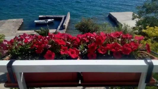 Bed And Breakfast Miramar - 18