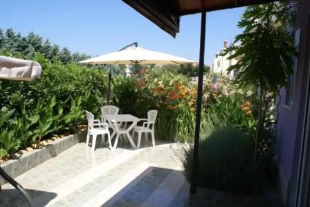 ApartViola - 45