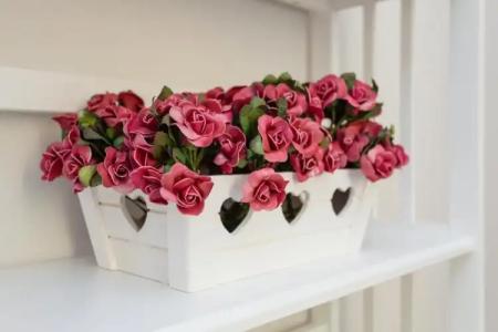 B&B Vatican's Keys - 16