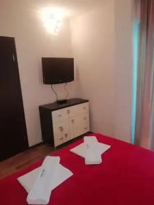 Apartments and rooms Grand Palazzo - 57