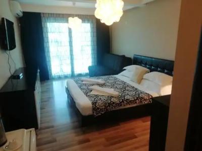 Apartments and rooms Grand Palazzo - 66