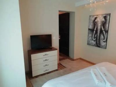 Apartments and rooms Grand Palazzo - 96