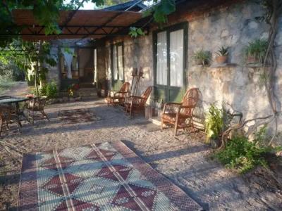 Faralya Botanica - 5