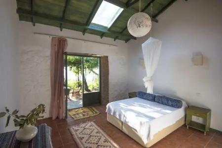 Faralya Botanica - 1