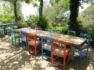 Faralya Botanica - 7