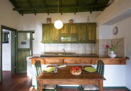 Faralya Botanica - 8