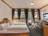 Standard Double room with mountain view