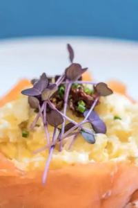 Bordoy Mostatxins - Boutique Adults Only - 11