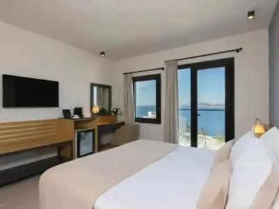 Senses - Adults Only - 55