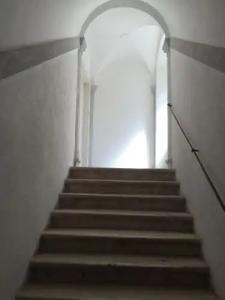 Palace Tartaglia - 12