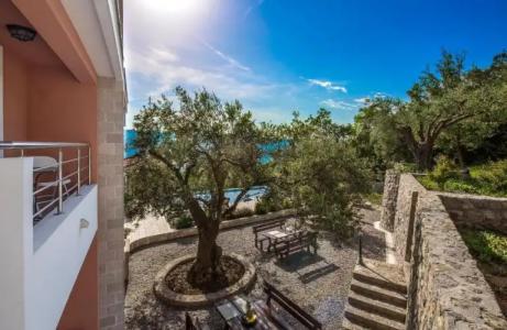 Villa Svinjista - 60