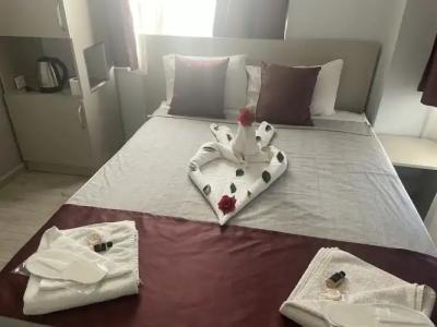 Ersoy Aga Otel - 111