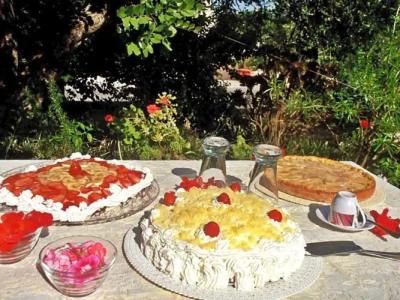 Il Corallo del Salento - 8