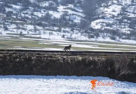 Masseria Cerasella - 19