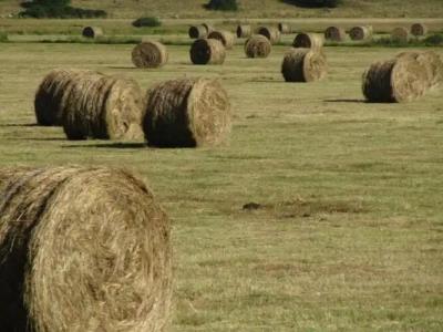 Masseria Cerasella - 25