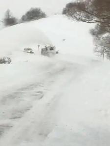 Masseria Cerasella - 31