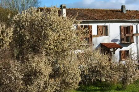 Masseria Cerasella - 0