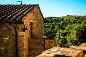 Colle Bertini, Montaione