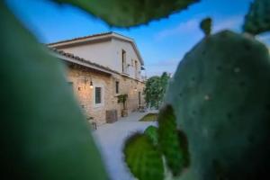 Tenuta Don Paolino, Avola