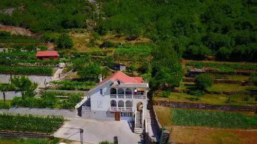 Country House Djurisic - 0