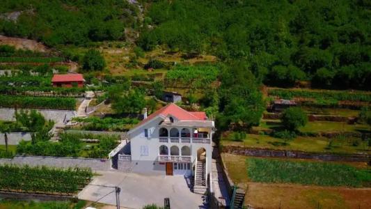Country House Djurisic - 12