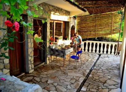Country House Djurisic - 9