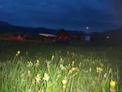 Eco Village Coric - 9