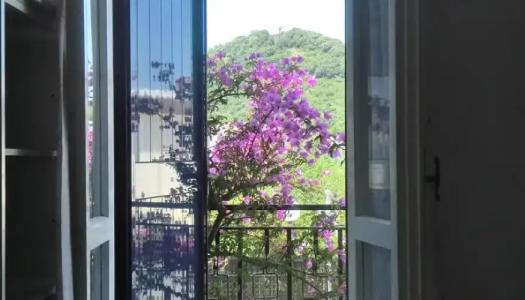 Villa Silva - 4