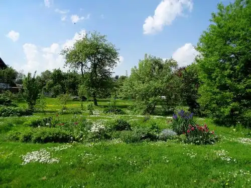 A homestay in picturesque Sigulda - 6