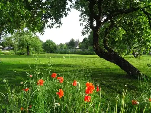 A homestay in picturesque Sigulda - 7