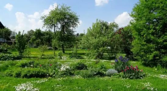 A homestay in picturesque Sigulda - 2