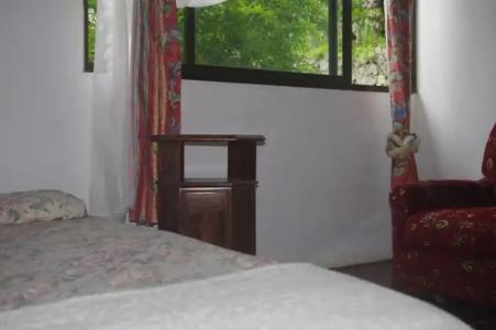 Papaya Guesthouse - 32