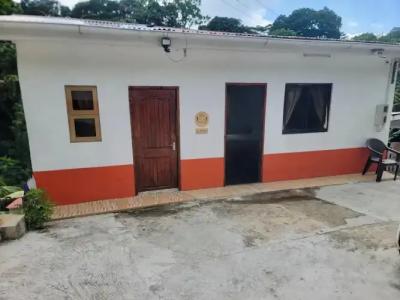 Papaya Guesthouse - 15