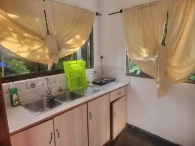 Papaya Guesthouse - 20