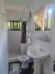 Papaya Guesthouse - 22